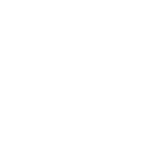 a white line drawing of a medal