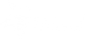MInd Charity logo