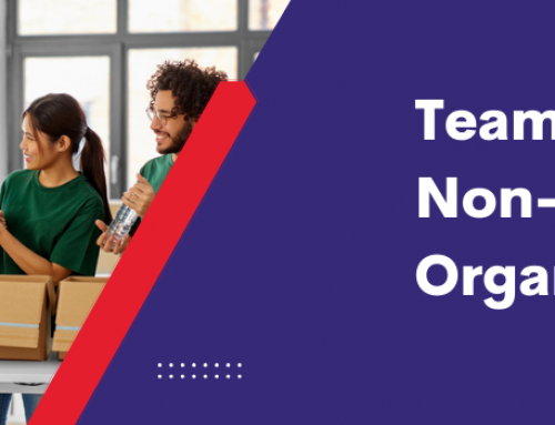 Team Building for Non-Profit Organisations